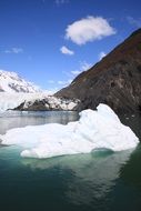 Prince William Iceberg on a sunny day