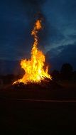 big bonfire at night among nature in the middle of summer