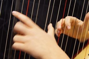 Hands on the Harp