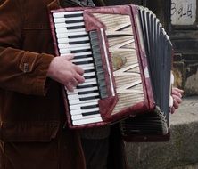 accordion in the hands close up