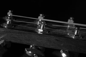 Tuning Pegs Guitar