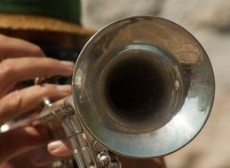 trumpet is a musical instrument