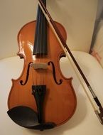 Brown musical violin