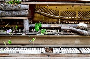 ruined abandoned piano close-up