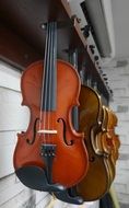 many different violins for sale