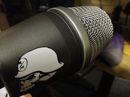 Microphone with Skull pattern