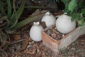 clay vases in the garden