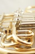 Horn, shining brass Musical Instrument with details