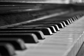 black and white photo of the keys of an old piano