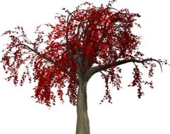 graphic image of a bright deciduous tree