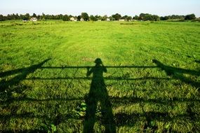 Man's shadow from the sun on green grass on the beautiful field with trees