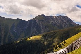Alpine meadow landscape in Tyrol