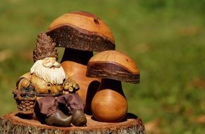 Dwarf Imp Males Cute Mushrooms