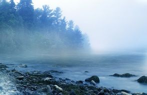 foggy morning by the lake