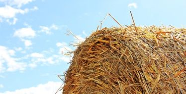 bale of straw under the sun