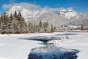 yellowstone national park Winter Scenic