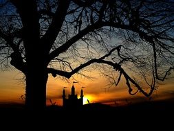 silhouette of a tree on a background of a castle at sunset