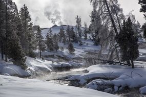 scenic winter landscape, usa, wyoming, yellowstone national park