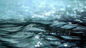 Water Waves