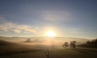 incredibly beautiful sunrise in the forest