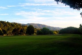 Green golf course in New Zealand