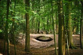 stone bridge in the thicket of the forest
