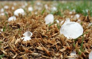 hailstones in South Africa
