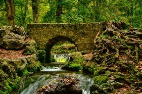bridge over the river in the forest in germany