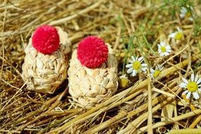 Straw Shoes