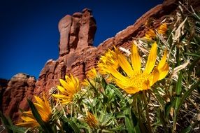 arches national park in Utah