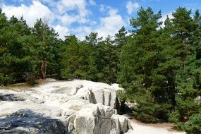 white rocks near green trees