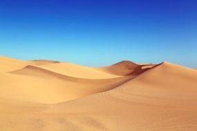 sand dunes in a nature reserve in California