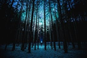 Flashlight in the forest at night