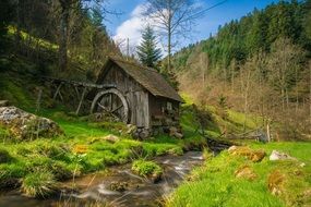 mill in the black forest