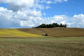 landscape of Harvest on the field