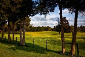 fenced pasture among trees, usa, Alabama