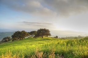 incredible beauty Landscape Antequera