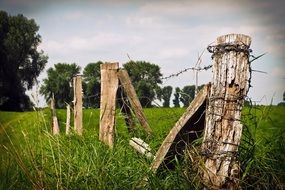 wonderful Landscape of Nature on summer meadow