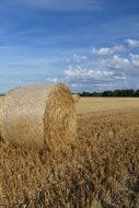 one bale of straw on the field