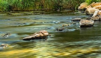 stones in shallow river