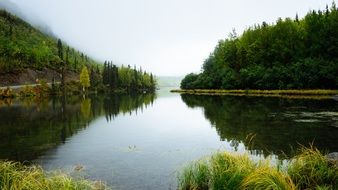 green forest on the banks of a quiet river