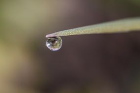 unusually beautiful Drop Of Water