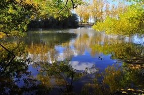 Scenic landscape of autumn