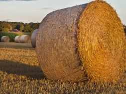 Straw on a Field