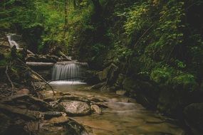 stream among the fairy forest