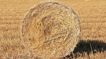straw bale close up
