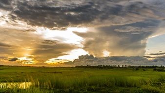 sunlight over a green field