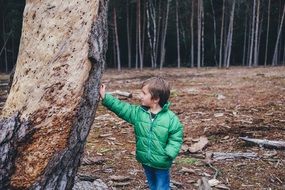 a boy in a green jacket stands by a tree in the forest