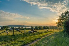 perfect beauty Lake Constance