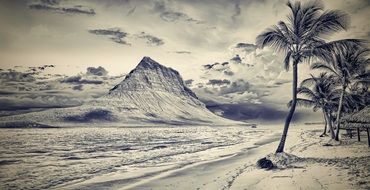 Mountain and palms on beach